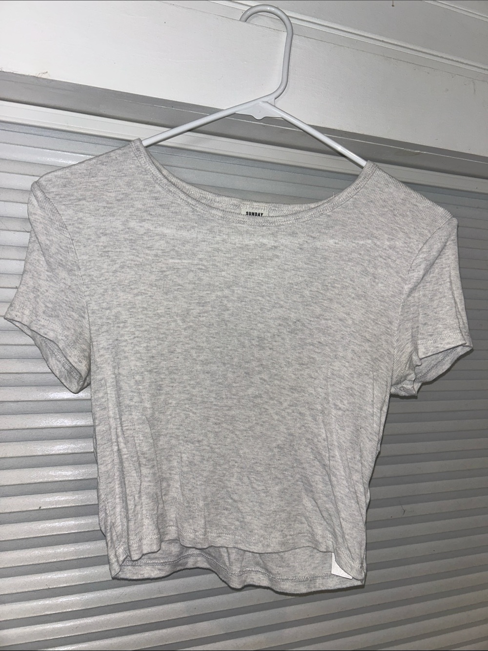 Aritzia Sunday Best Bliss Cropped T-Shirt Ribbed Baby Tee Cloud Heather Grey | M